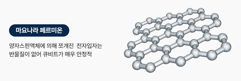 마요나라 페르미온 연구 이미지